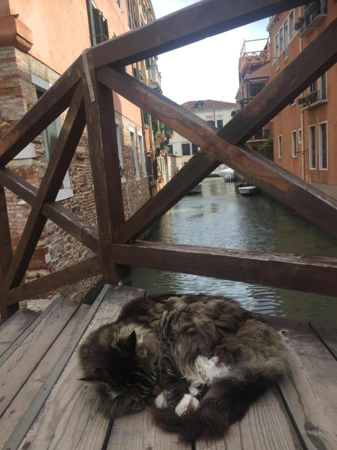 Tintoretto Vista Real Venedik Dış mekan fotoğraf
